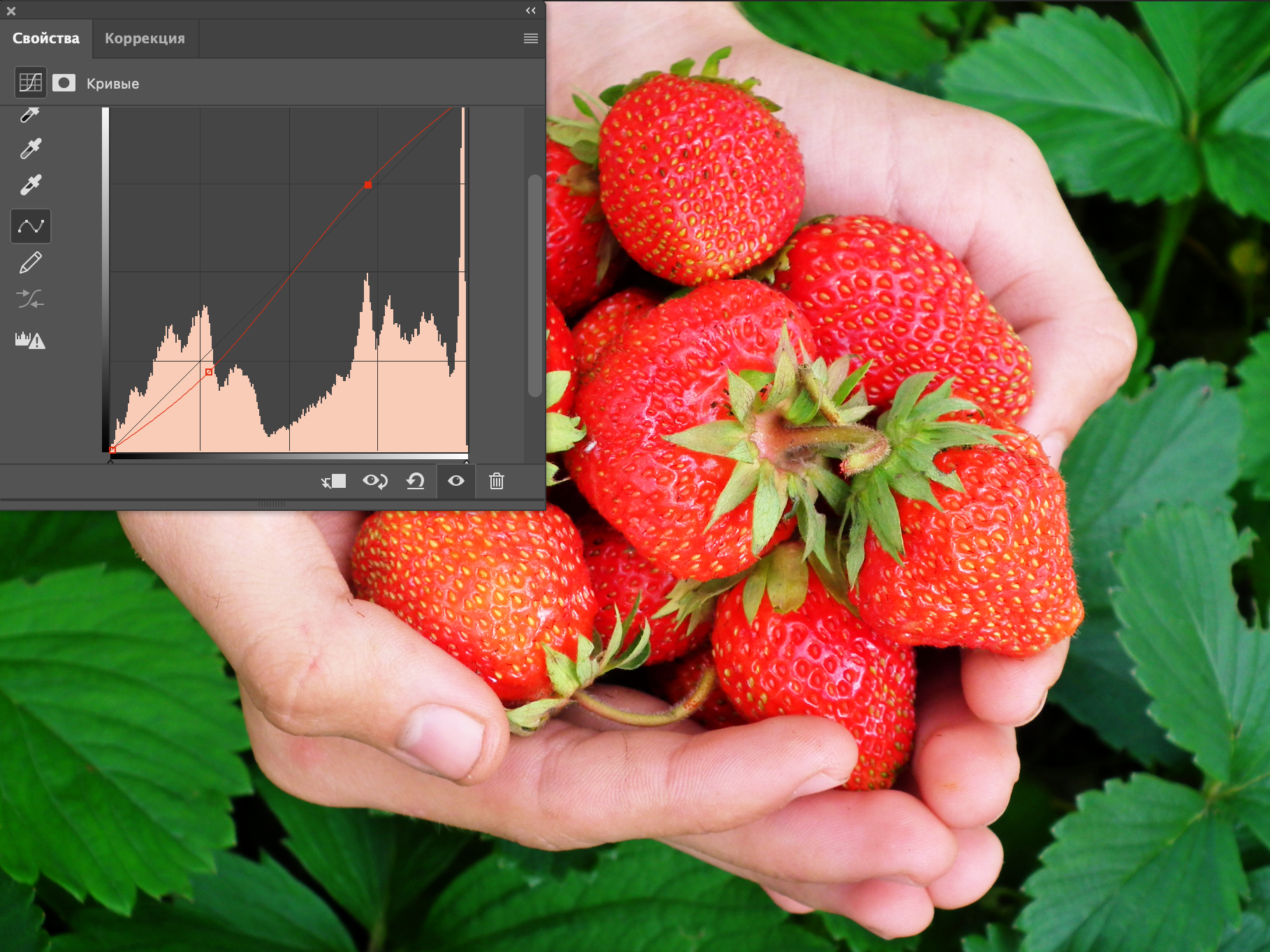 Инструмент Кривые в работе