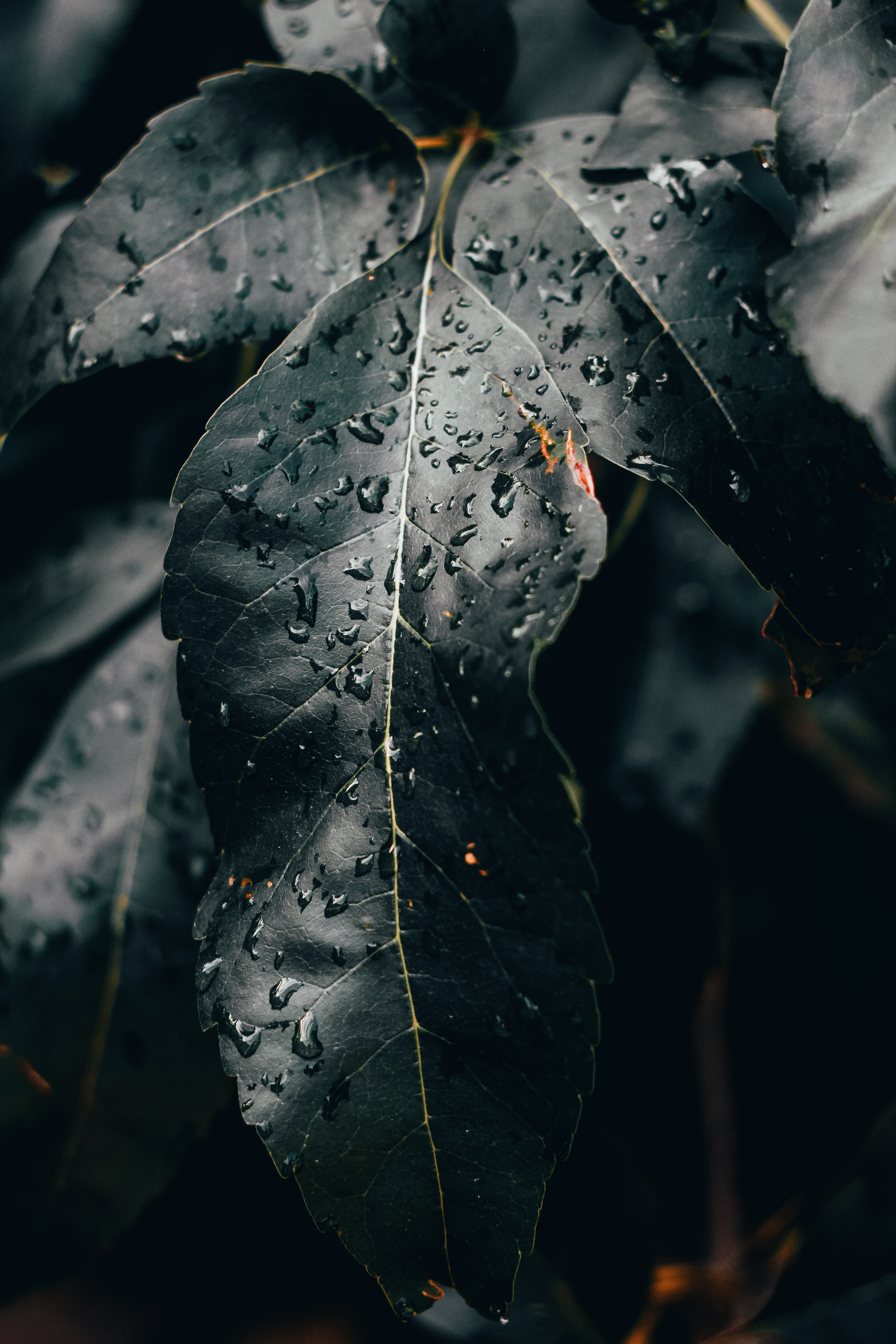 Пример пресета 1