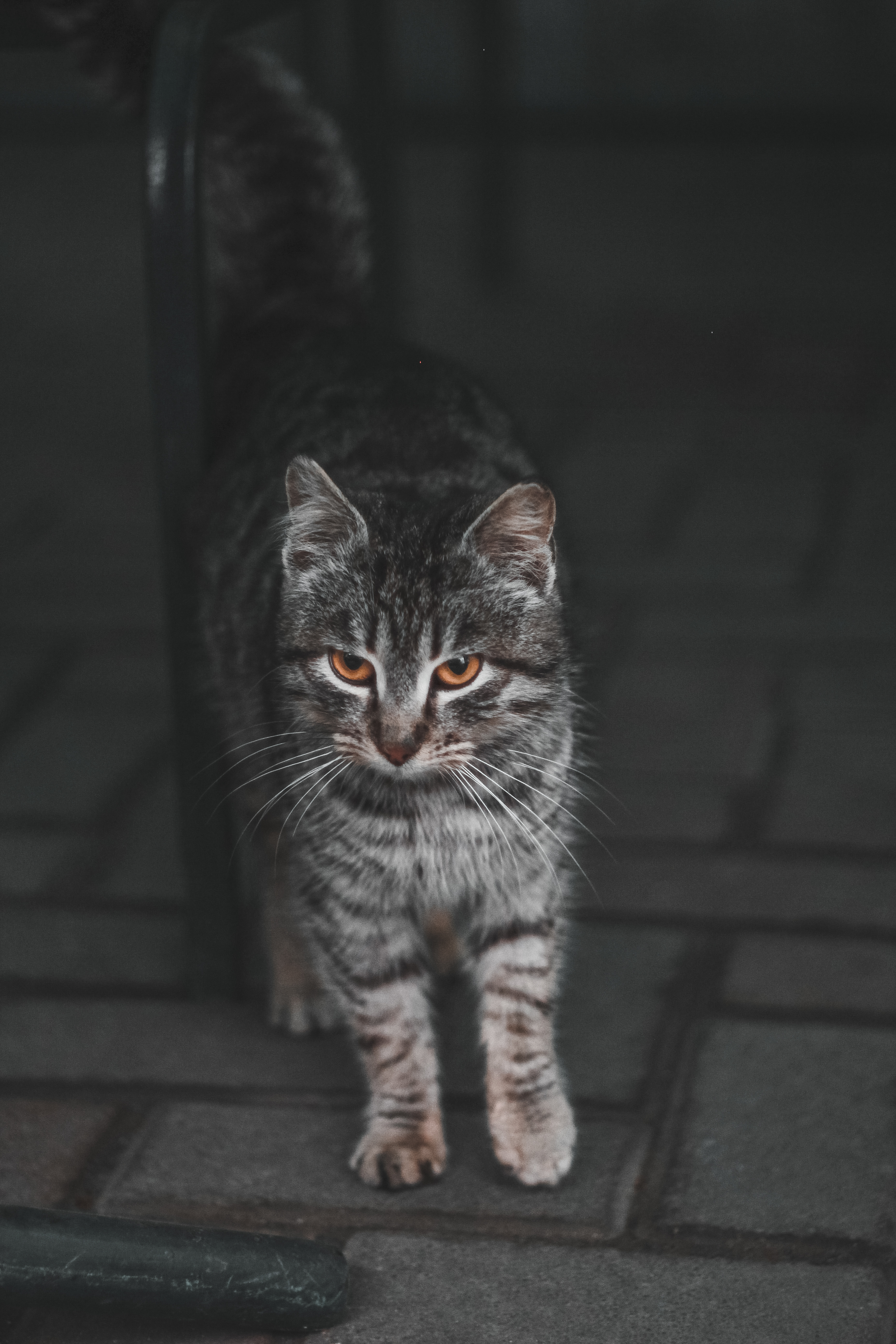 Пример пресета 2